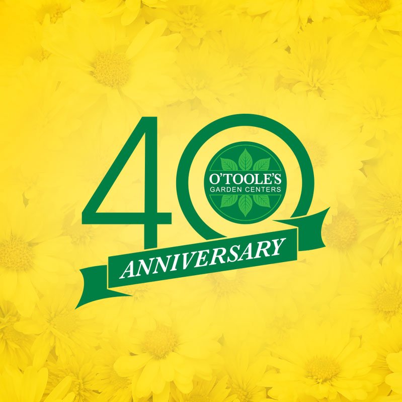O'Tooles 40th